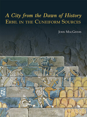 cover image of A City from the Dawn of History